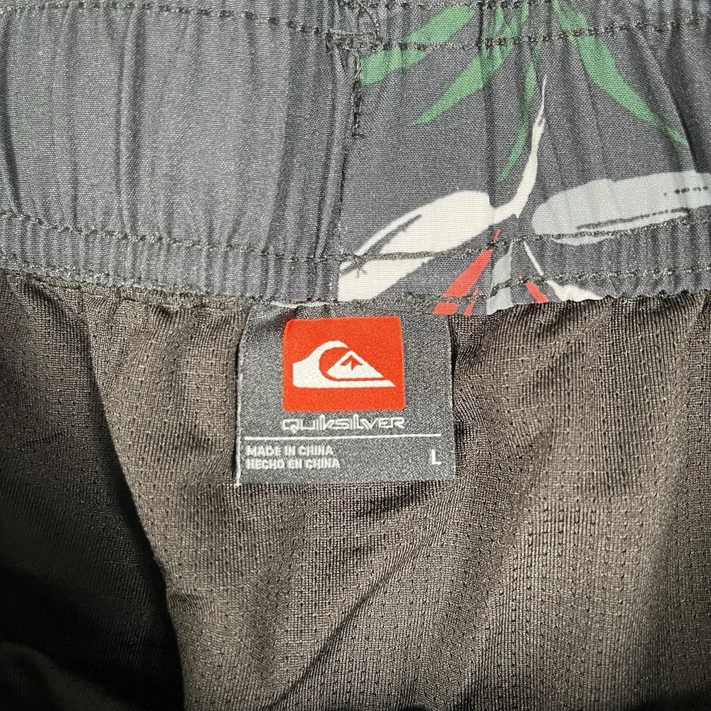 Quiksilver quicksilver swim